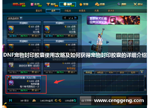 DNF宠物封印胶囊使用攻略及如何获得宠物封印胶囊的详细介绍