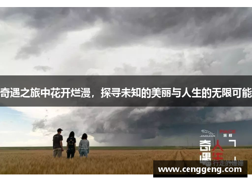 奇遇之旅中花开烂漫,探寻未知的美丽与人生的无限可能 奇遇之旅中花开烂漫,探寻未知的美丽与人生的无限可能